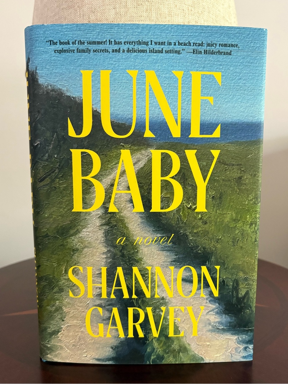 💛 June Baby by Shannon Garvey Hardcover Novel 💛